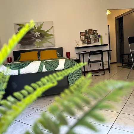 Cosy & Zen Centre Apartment